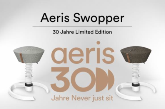 30 Jahre Jubiläums Aktion Aeris Swopper - mit Gleiter - NEW GREY 
