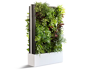 cp-climate-office-pflanzwand_01